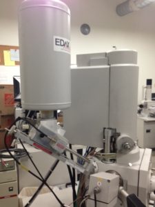 EDAX Detector